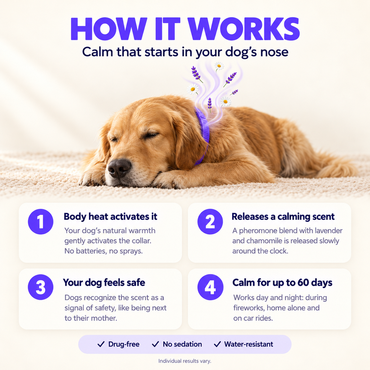 Dog Calming Collar