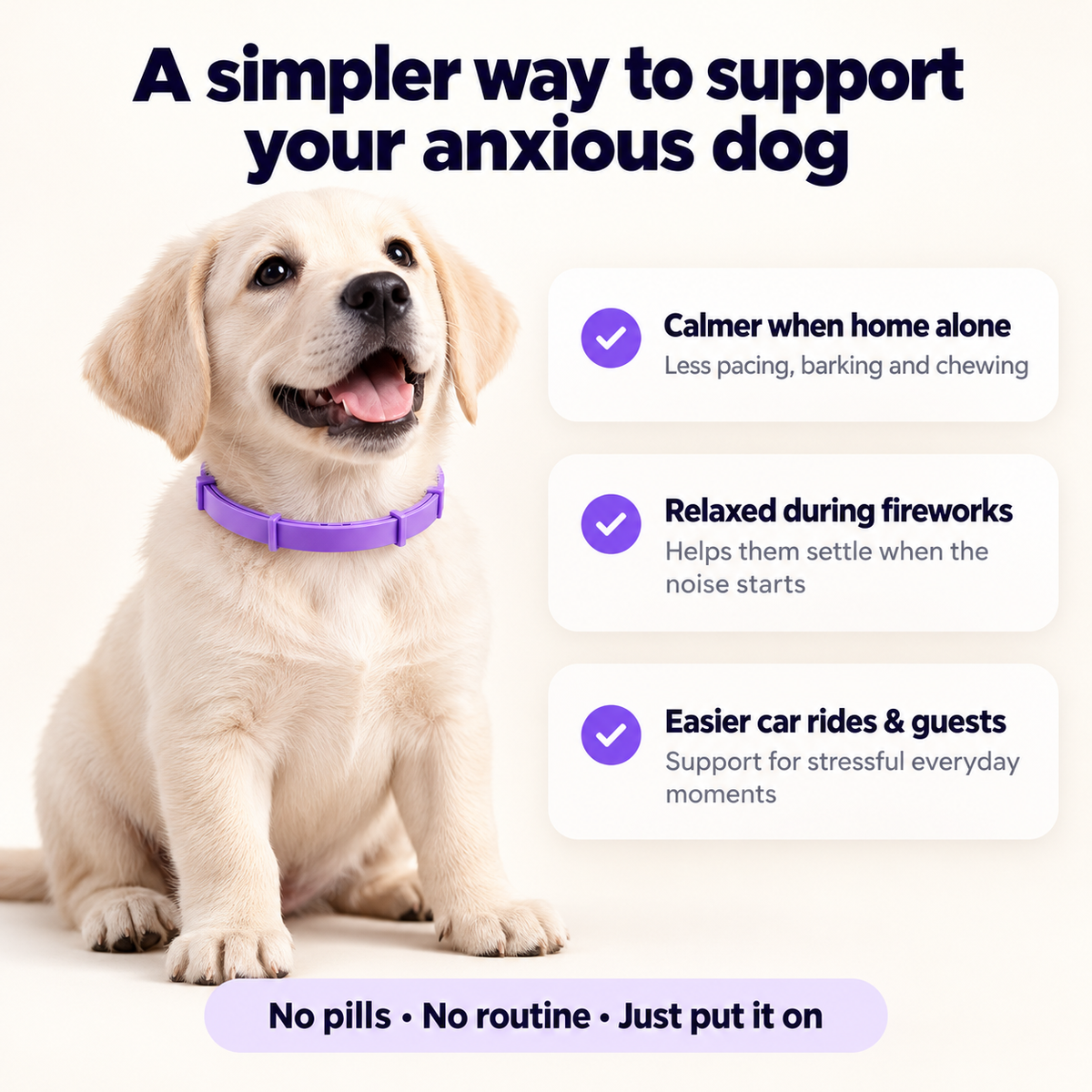 Dog Calming Collar